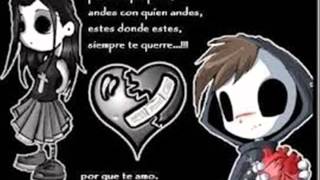 Los leales de amor Donde quedo el amor [upl. by Siro]