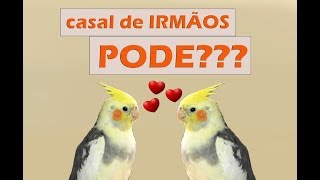 Posso formar um casal de parentes [upl. by Iadrahs]