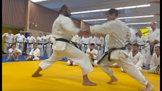 Rick Hotton sensei Thats the Feeling France 2023 [upl. by Abey]