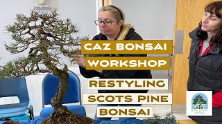 Caz Bonsai Workshop Restyling Scots Pine and Juniper [upl. by Moclam126]