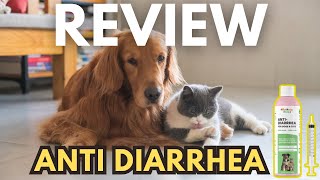 Get Rid of Diarrhea in Your Pet in 24 Hours or Less Guaranteed [upl. by Velasco]