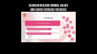 Globulin in blood normal values and causes of increasedecrease globulin bloodtest bloodanalysis [upl. by Aicelav]