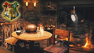 Hagrids Hut ASMR ⚡ Harry Potter Ambience 🥚 Dragon egg 🔥 Cozy Fire 🍵 Warm Tea [upl. by Quintus]