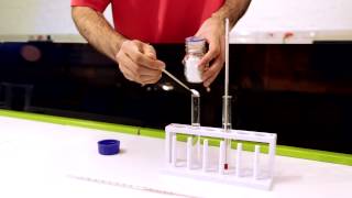 CTSC practical experiment Endothermic amp exothermic reactions [upl. by Llerrem175]