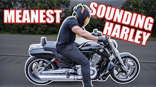 VRod Muscle TAB Performance Exhaust  Harley Davidson Acceleration Revs Walkaround amp Best Sounds [upl. by Skurnik]