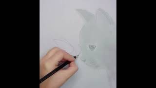 How to draw a cat with butterfly  pencil sketch for beginners  step by step drawingshortvideo [upl. by Pacheco]