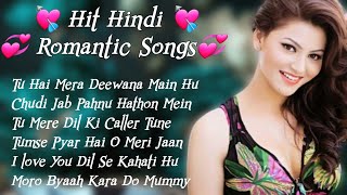 Best New Songs 2024 💞 Letest Hindi Mp3 Songs 💗 Romantic Mashup Songs 💘 SKumar 💕 Lubi Music 18 [upl. by Kliman]