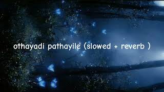 othayadi pathayile  slowedreverb tamil love song slowedandreverb [upl. by Rabah787]