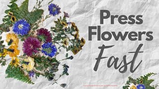 How to Press Flowers Fast Quick Preservation  Easy DIY Tutorial [upl. by Leisha]