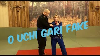 Judo or BJJ O uchi gari Fake to other Throws or Takedowns [upl. by Ecaroh]