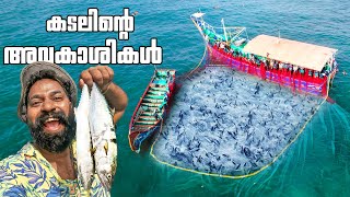 കടലിൽ മീൻ പിടിക്കാൻ കടലിന്റെ മക്കളുടെ ഒപ്പം  Sea Fishing  Day In My Life  M4 Tech [upl. by Hcurob]