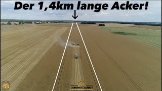 Der 14km lange Acker 1700ha Getreide Großeinsatz Getreideernte Team Westhoff Agrar Roggen Dreschen [upl. by Ecahc]