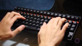 TMS Rapoo V500 Mechanical Keyboard with Yellow Switch Demonstration [upl. by Stichter]