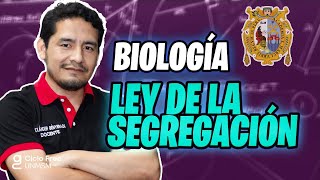 BIOLOGÍA  Ley de la segregación CICLO FREE [upl. by Adlecirg]