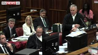 Court Hears Pistoriuss Text Messages Day 15 Of Pistorius Trial [upl. by Eudo]