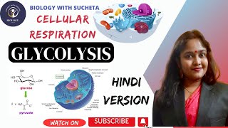 Glycolysis pathway made simple l EMP Pathway l Cellular Respiration in hindi l [upl. by Ybreh]