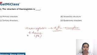 Haemoglobin structure [upl. by Nitsed847]