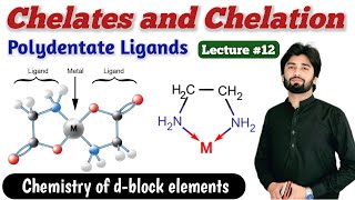 Chelates in Coordination Compounds  Ligands and thier Classification  Polydentate Ligands [upl. by Ocire]