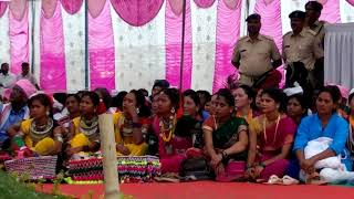 Nai bhulajiAdivasi Dharti geet sing by Asha Naik perform in Adivasi maha sammelan Raajpipala [upl. by Woolley849]