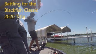 Battling for the Blackfish Classic 2020 Title on Lake Minnetonka [upl. by Enilemme]