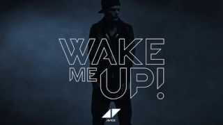 Avicii Wake Me Up Melodie 1h [upl. by Ettenirt]