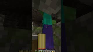 Minecraft But I have Infinite HP shorts minecraft [upl. by Esiuolyram433]