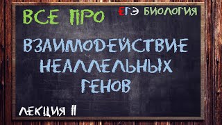 Л11  ВЗАИМОДЕЙСТВИЕ НЕАЛЛЕЛЬНЫХ ГЕНОВ  ГЕНЕТИКА  ОБЩАЯ БИОЛОГИЯ ЕГЭ [upl. by Thornburg582]