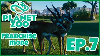 PLANET ZOOFRANCHISE MODEEP7Managing our zoo  baby giraffes and gazelle [upl. by Nevak450]