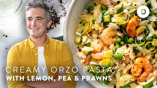 CREAMY Orzo Shrimp Pasta [upl. by Metcalf]