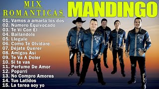 Grupo Mandingo Mix Romanticas 2023  Sus mejores canciones de Grupo Mandingo  Cumbias Mix Mandingo [upl. by Aneles775]