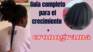 COMO HACER CRECER EL CABELLO afro  CRONOGRAMA CAPILAR  RUTINA PARA EL CRECIMIENTO DEL CABELLO AFRO [upl. by Molini]