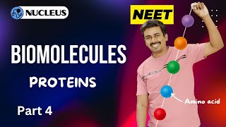 Proteins II Biomolecules II Part 4 II Nucleus Neet coaching [upl. by Albion]