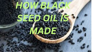 How Black Seed Oil is made in 2024 [upl. by Noj]