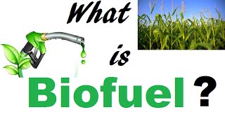 What is Biofuel [upl. by Ahsyekal]