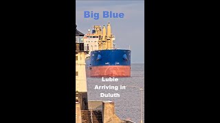 Big Blue arrives in Duluth  Lubie shorts [upl. by Kcirttap]