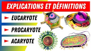 Eucaryotes Procaryotes Acaryotes Comment les distinguer [upl. by Nwahsav]