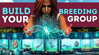 ARK Breeding GUIDE for MUTATION STACKING  ARK Survival Ascended [upl. by Elwira985]