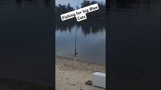 Fishing for big river Blue catfish STAY TUNED [upl. by Shue755]