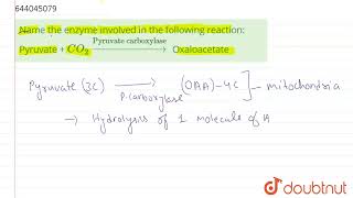 Name the enzyme involved in the following reaction Pyruvate  CO2 oversetPyruvate carboxyla [upl. by Olegnad]