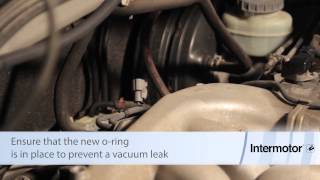 Honda 35 Liter Intake Air Temperature Sensor Replacement [upl. by Crispin287]