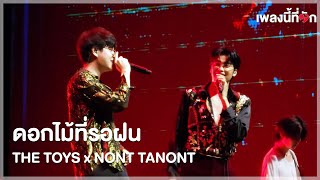 THE TOYS x NONT TANONT  ดอกไม้ที่รอฝน spring  Luv a Duck [upl. by Peck]