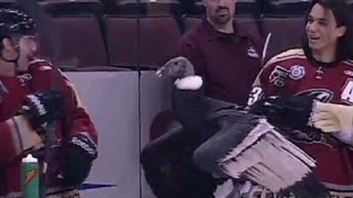 Hockey mascot takes to the ice flys away [upl. by Housum]