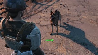 Dogmeat Being a Hero in Fallout 4 [upl. by Nogem]