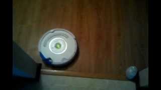 Roomba  Laser Pointer  KITTY FUN [upl. by Marlena]