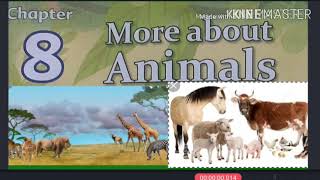 EVS class2 Chapter8 More About Animals  Explanation Priti Kumari [upl. by Graff]