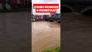 Extremes Hochwasser in PrudnikPolen heavyrain hochwasser polen prudnik viralvideo foryou [upl. by Stace]