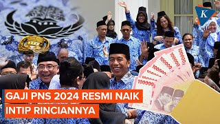 Gaji PNS 2024 Resmi Naik Ini Daftar Lengkapnya [upl. by Yremogtnom]