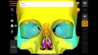 General Anatomy Nasal cavity and Hyoid bone [upl. by Annecorinne433]