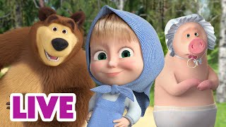 🔴 LIVE STREAM 🎬 Masha and the Bear 🤗 Spending Time Together 😍🫂 [upl. by Llib]