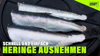 Heringe ausnehmen  schnell und einfach  Anglerboard TV [upl. by Leahcym]